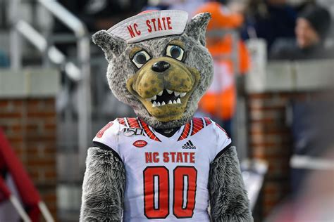 The Role of Mascots in Building School Spirit: NC State Wolfpack Edition